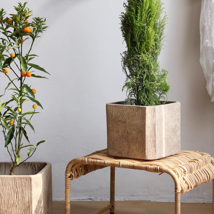 StoneGrain Square Planter RusticReach in light stone with evergreen plant on wicker table on Tampa Home & Garden Store