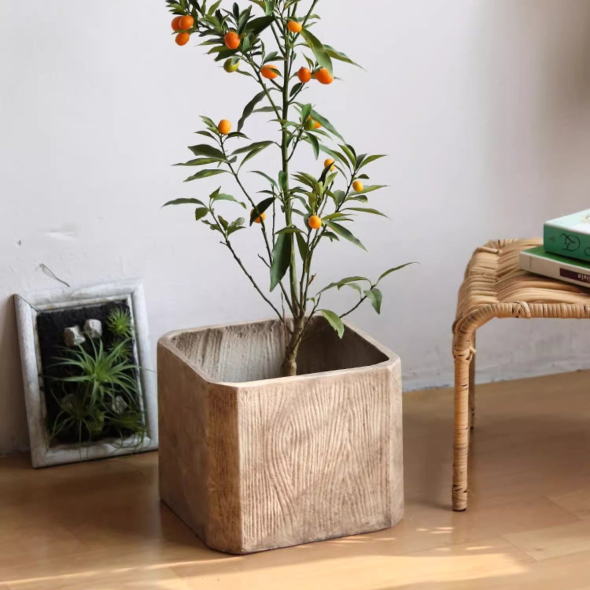 StoneGrain Square Planter by RusticReach with beige stone-grain finish and a citrus tree on Tampa Home & Garden Store
