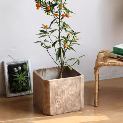 StoneGrain Square Planter by RusticReach with beige stone-grain finish and a citrus tree on Tampa Home & Garden Store
