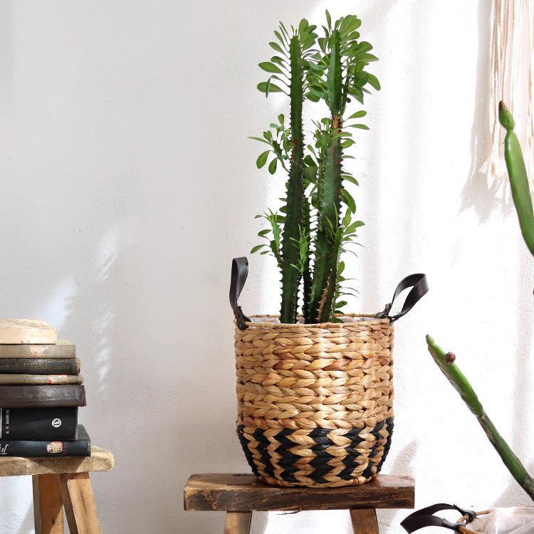 Two-Tone Basket Planter with Leather Handles, natural tan weave, tall leafy plant on Tampa Home & Garden Store
