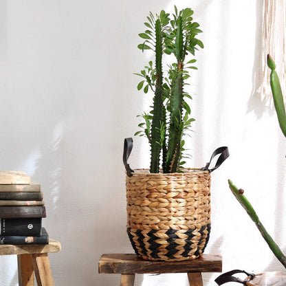 Two-Tone Basket Planter with Leather Handles, natural tan weave, tall leafy plant on Tampa Home & Garden Store
