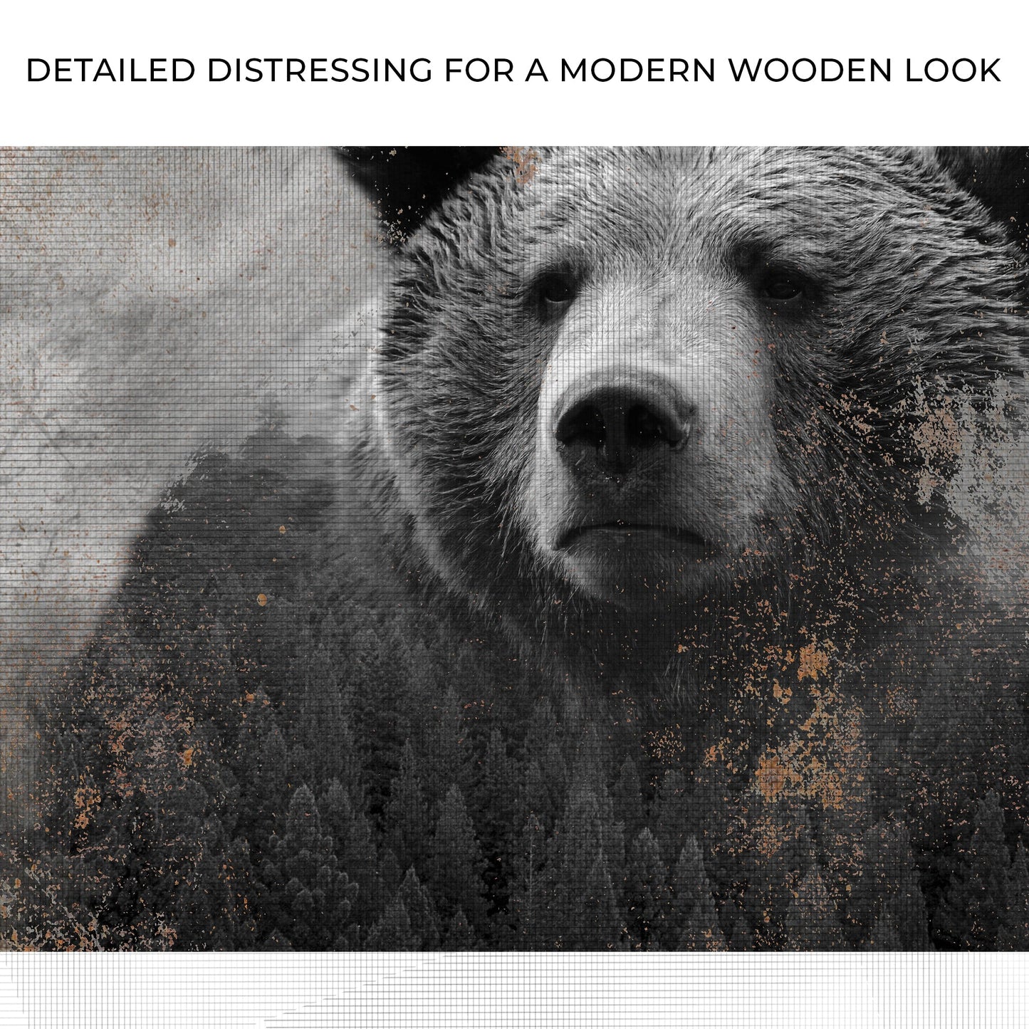 Animals Forest Bear Brown Canvas Wall Art with textured grid and rustic specks on Tampa Home & Garden Store