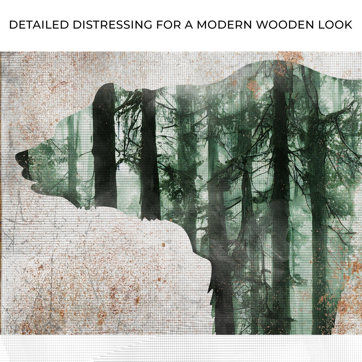 Animals Forest Bear Birch Canvas Wall Art dark forest tree silhouettes on birch-textured canvas on Tampa Home & Garden Store