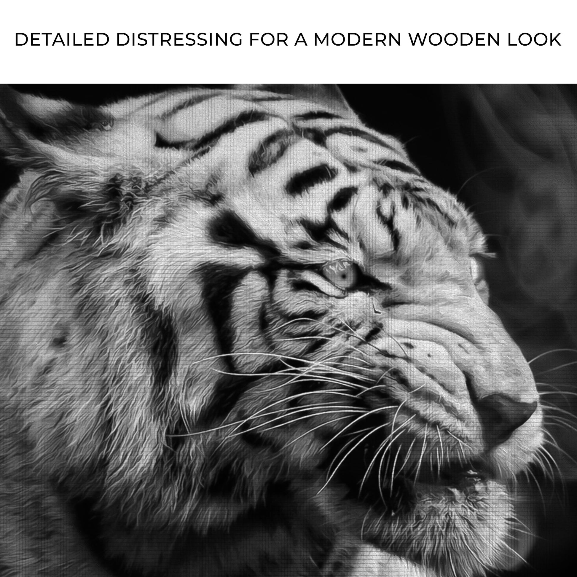 Black and White Smoking Tiger canvas wall art by Tailored Canvases crafting canvas on Tampa Home & Garden Store