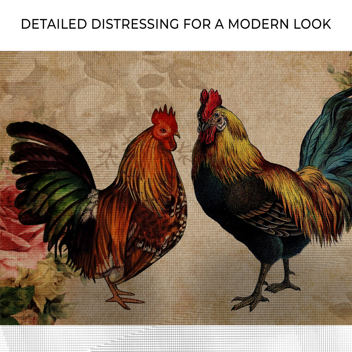 Retro Rooster Chicken Canvas Wall Art by Tailored Canvases, two roosters on aged canvas on Tampa Home & Garden Store