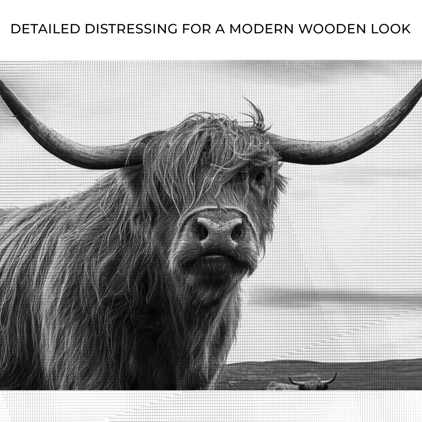 Highland Cow Black and White Portrait Canvas Tailored Canvases crafting canvas on Tampa Home & Garden Store