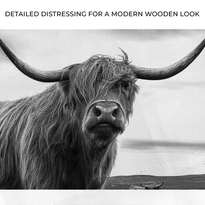 Highland Cow Black and White Portrait Canvas Tailored Canvases crafting canvas on Tampa Home & Garden Store