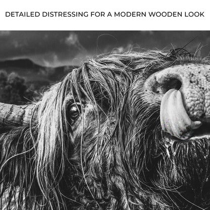 West Highland Cow monochrome canvas wall art by Tailored Canvases, crafting canvas on Tampa Home & Garden Store