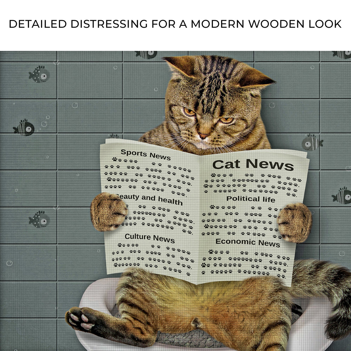 Cat Toilet Reading Newspaper Canvas Wall Art, brown tabby on gray tiled backdrop Crafting Canvas on Tampa Home & Garden Store