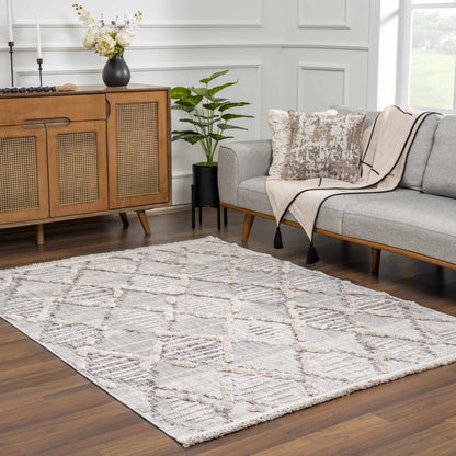 Bogtong High-Low Rustic Rug beige plush texture by Boutique Rugs on Tampa Home & Garden Store