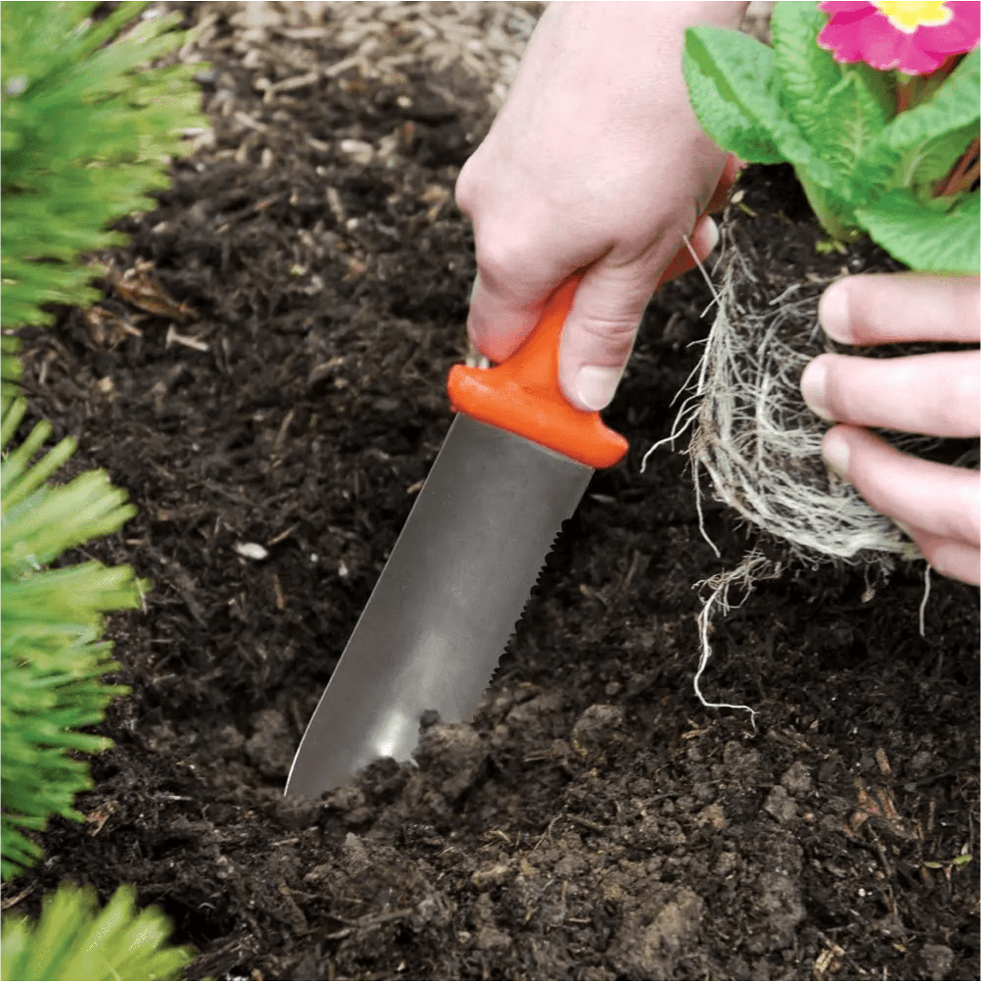 ZenBori Soil Knife - Tampa Home & Garden Store