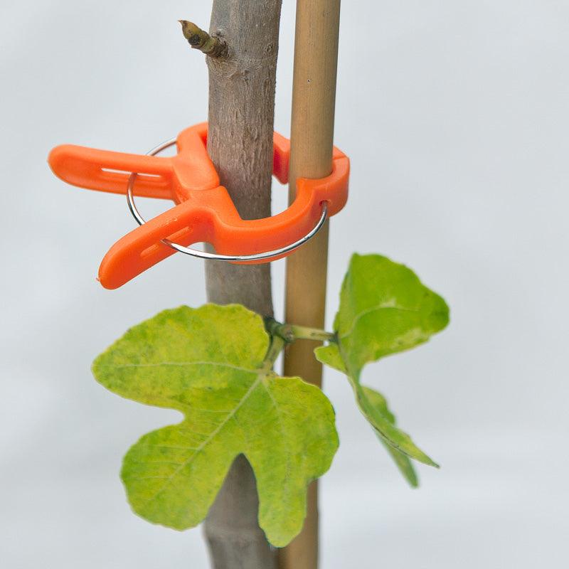 Zenport Vine & Branch Clip, Small - Tampa Home & Garden Store