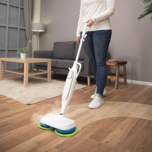 Zippi Spin & Steam - Tampa Home & Garden Store