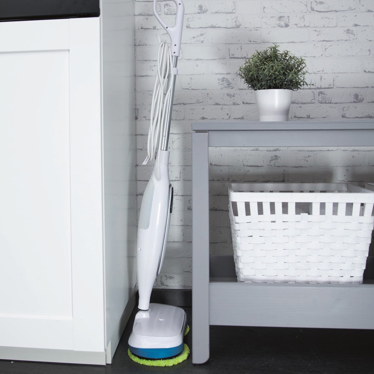 Zippi Spin & Steam - Tampa Home & Garden Store
