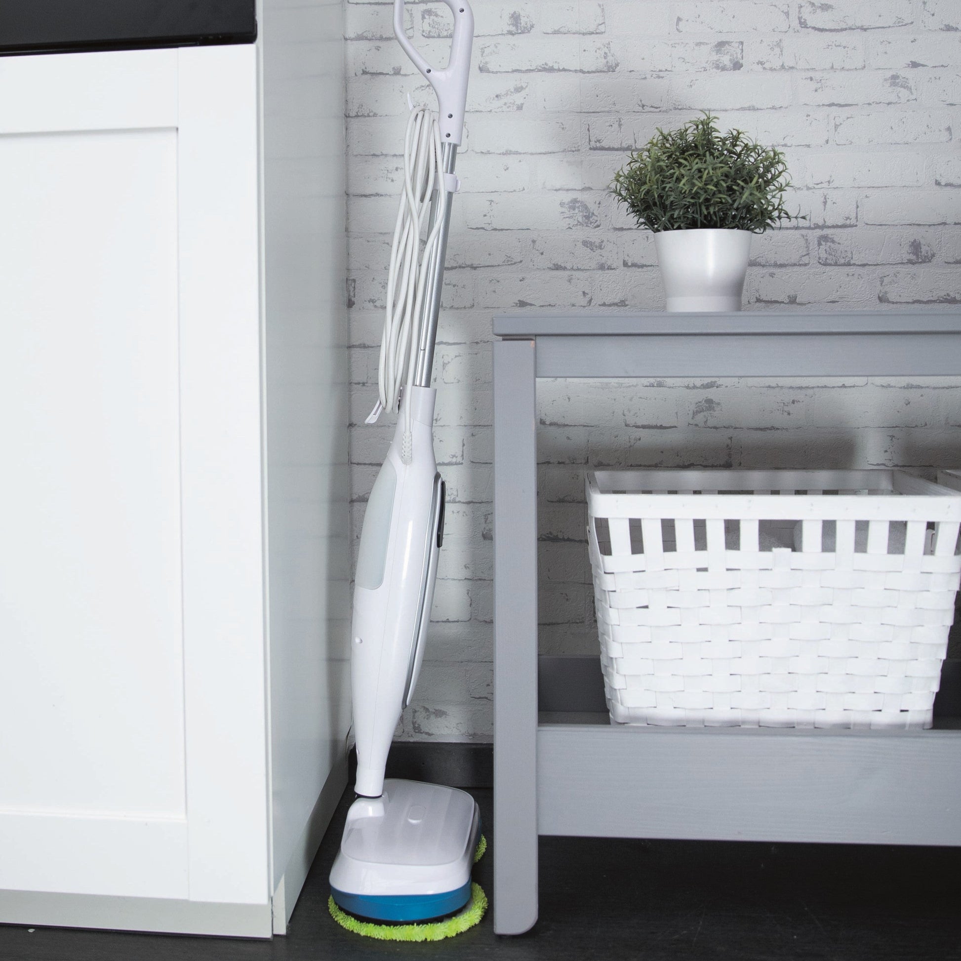 Zippi Spin & Steam - Tampa Home & Garden Store