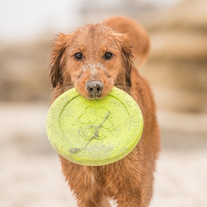 Zisc Gentle Flying Disc for Chewers and Dogs