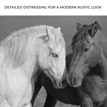 Horse Love Canvas Wall Art by Tailored Canvases; two horses' heads in monochrome canvas print on Tampa Home & Garden Store