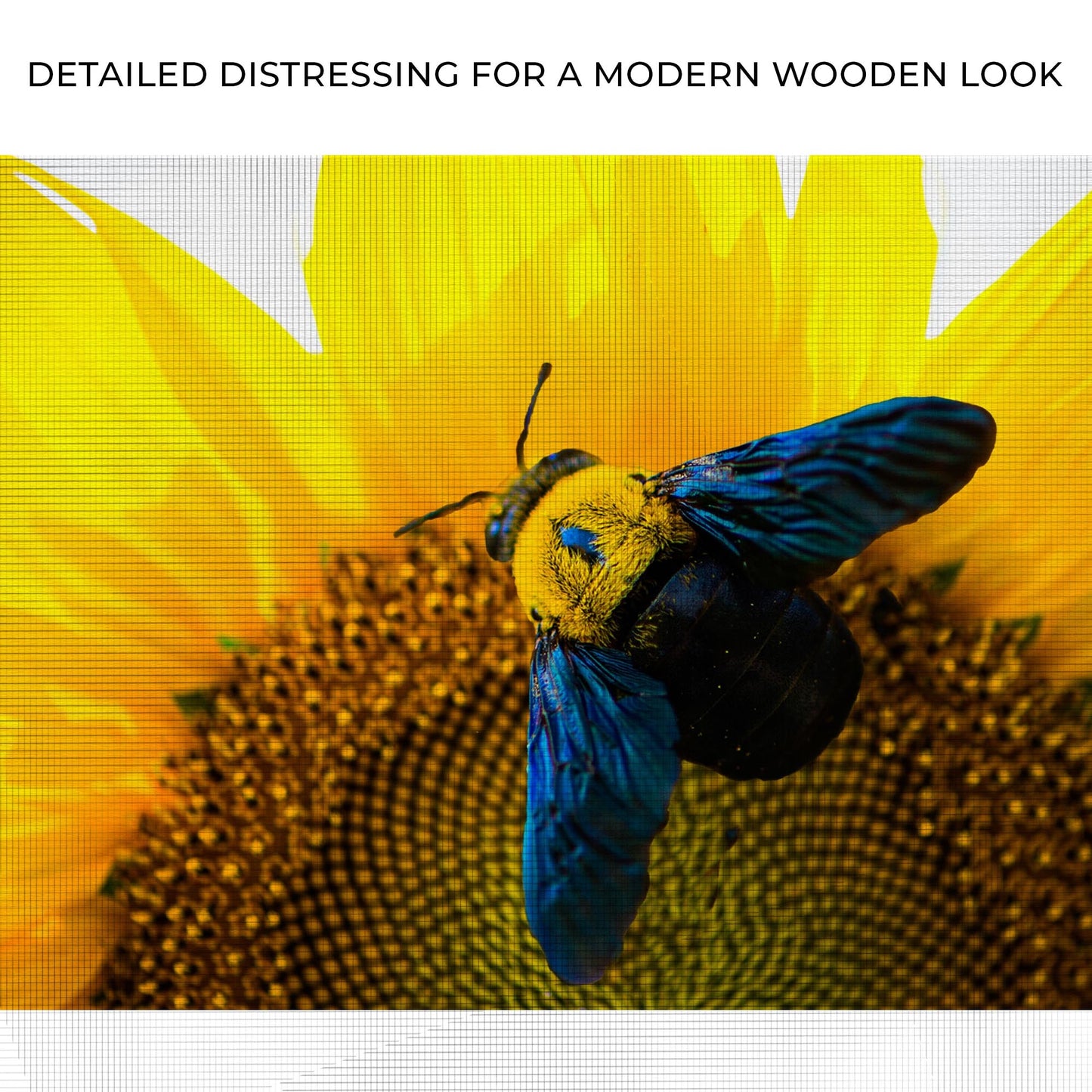 Bee Hoverfly Above A Sunflower canvas wall art by Tailored Canvases, bright yellow backdrop on Tampa Home & Garden Store