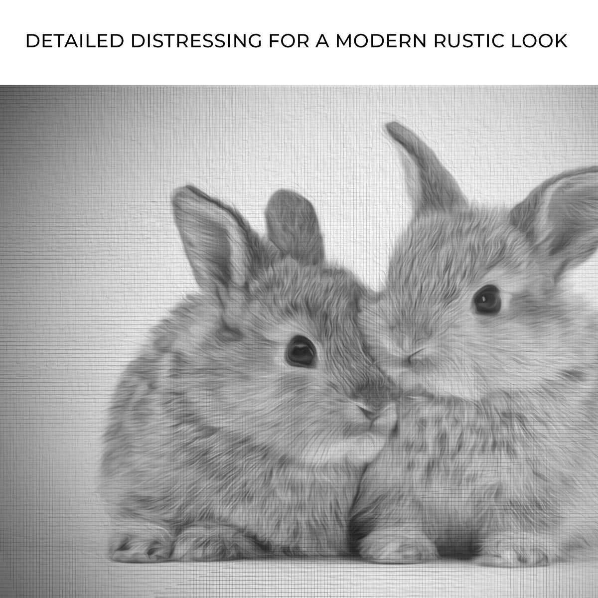 Gray Rabbits Sketch Canvas Wall Art by Tailored Canvases on Tampa Home & Garden Store