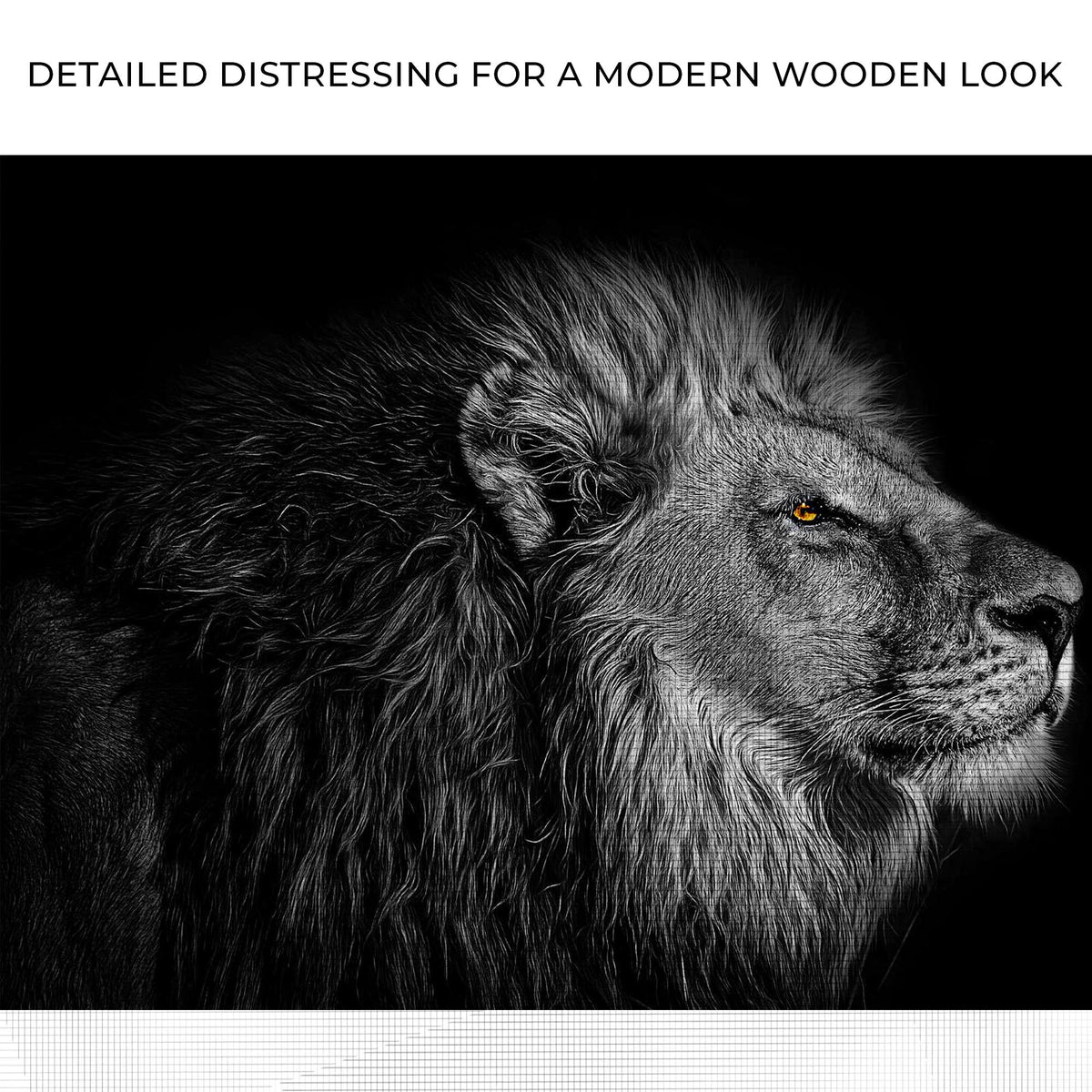 Black and white lion head canvas wall art by Tailored Canvases, fur with amber eye on black on Tampa Home & Garden Store