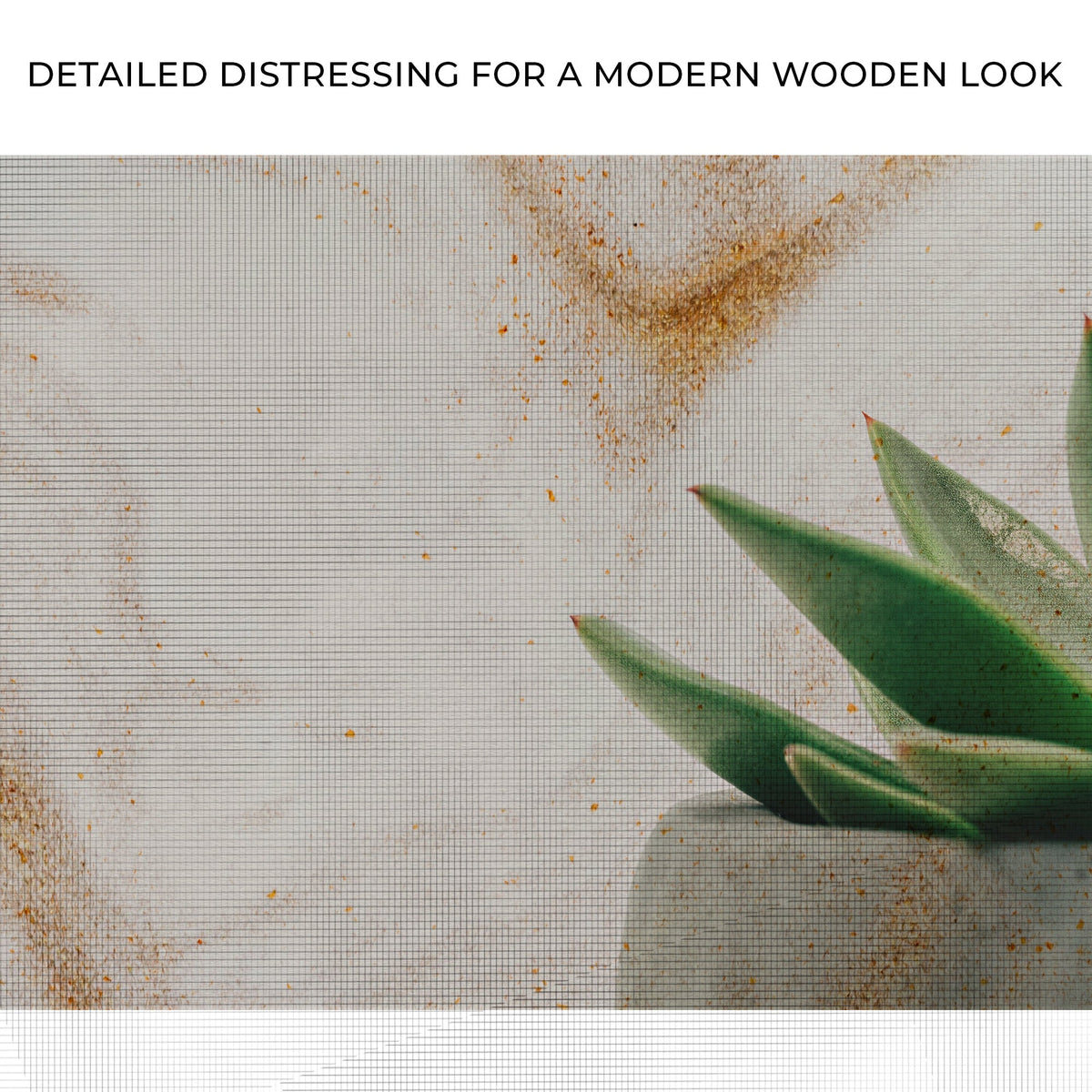 Stone Pot Succulent Plant wall art Tailored Canvases green succulent on grid-text background on Tampa Home & Garden Store