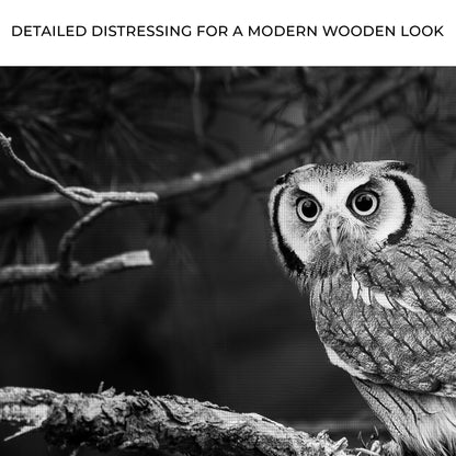 Black and white owl canvas wall art Tailored Canvases crafting canvas on Tampa Home & Garden Store