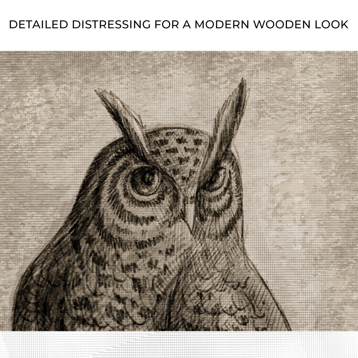 Owl pencil sketch portrait canvas wall art sepia toned crafting canvas on Tampa Home & Garden Store