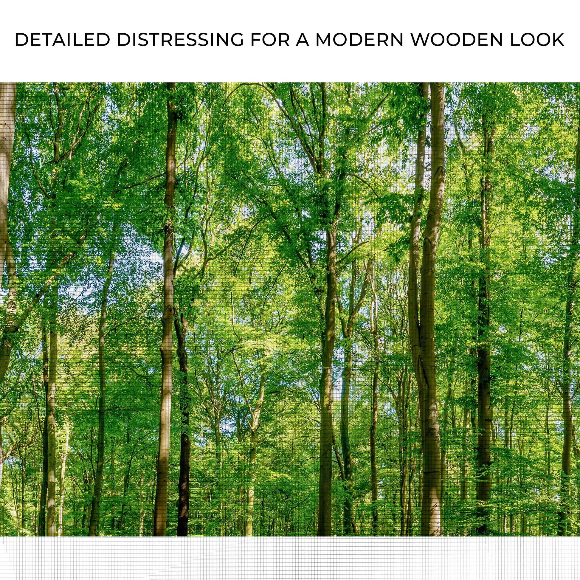 Golden Rays Into The Forest canvas wall art by Tailored Canvases, lush green trees on Tampa Home & Garden Store
