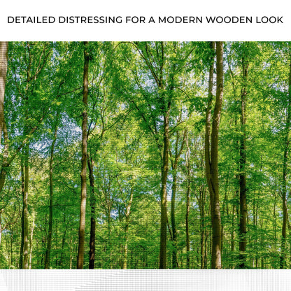 Golden Rays Into The Forest canvas wall art by Tailored Canvases, lush green trees on Tampa Home & Garden Store