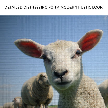 Curious Lamb Canvas Wall Art, textured canvas showing two cream lambs with ears against blue sky on Tampa Home & Garden Store