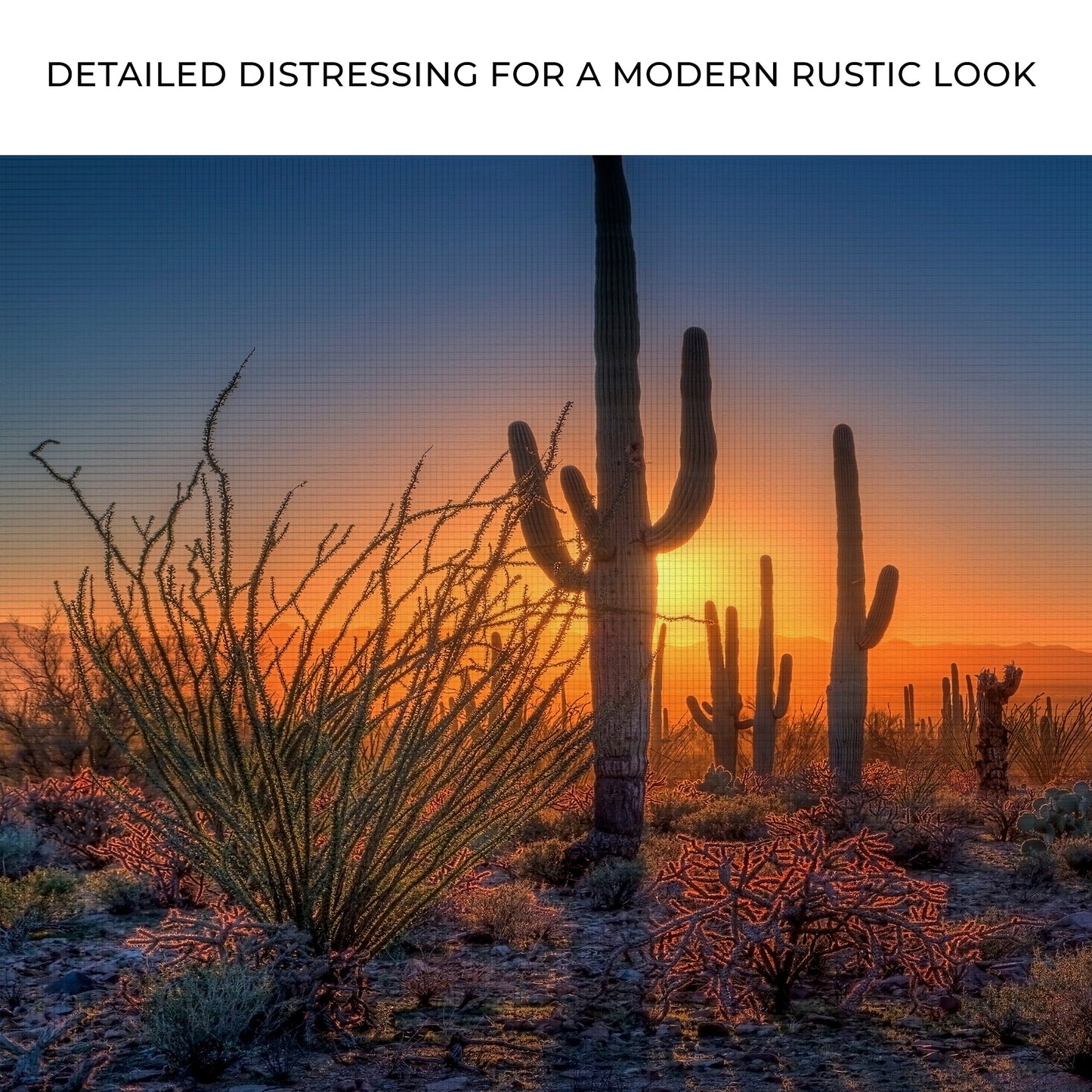 Desert Dusk Canvas Wall Art by Tailored Canvases; sunset with tall cacti in orange sky on Tampa Home & Garden Store
