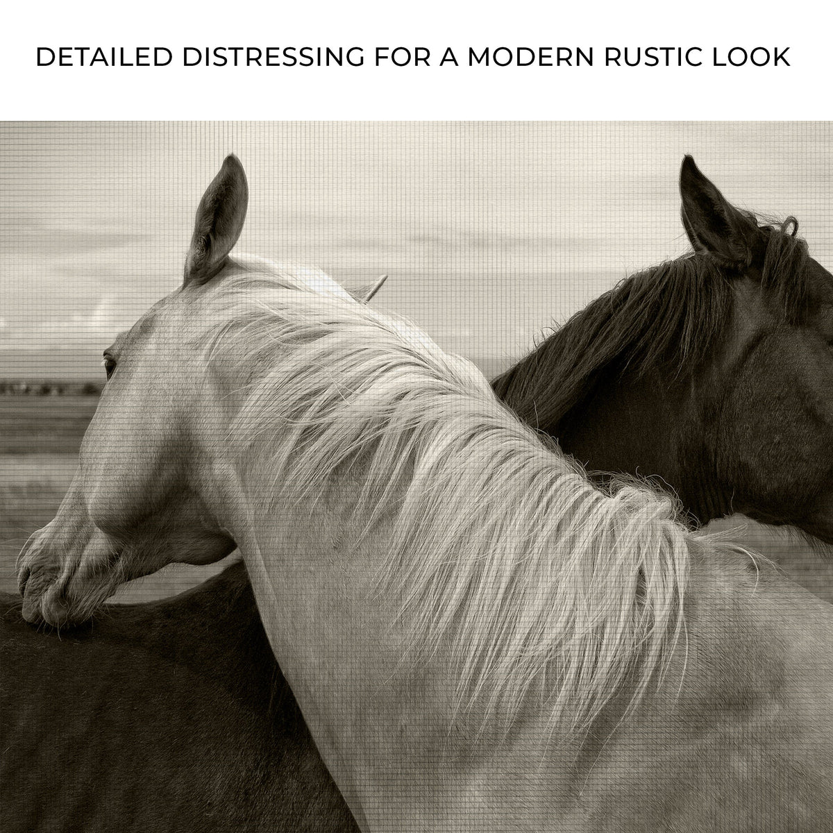 Monochrome two-horse canvas wall art by Tailored Canvases on Tampa Home & Garden Store