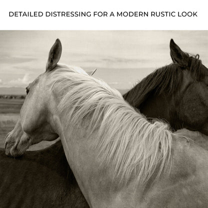 Monochrome two-horse canvas wall art by Tailored Canvases on Tampa Home & Garden Store