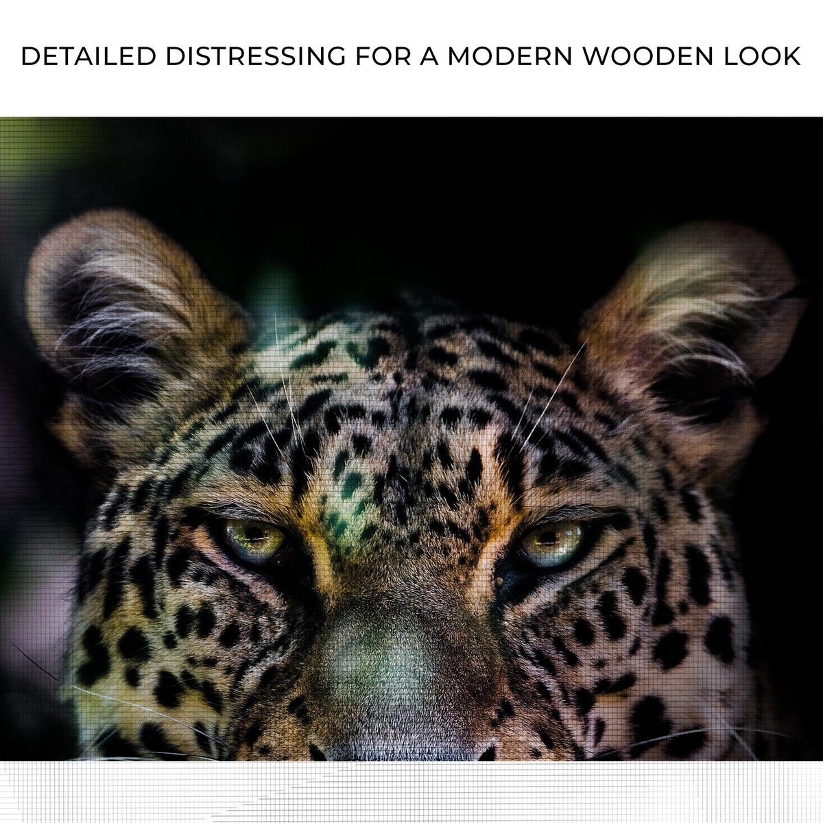 Sneaky Jungle Leopard Portrait Canvas Wall Art close-up leopard face, green eyes Tailored Canvases on Tampa Home & Garden Store
