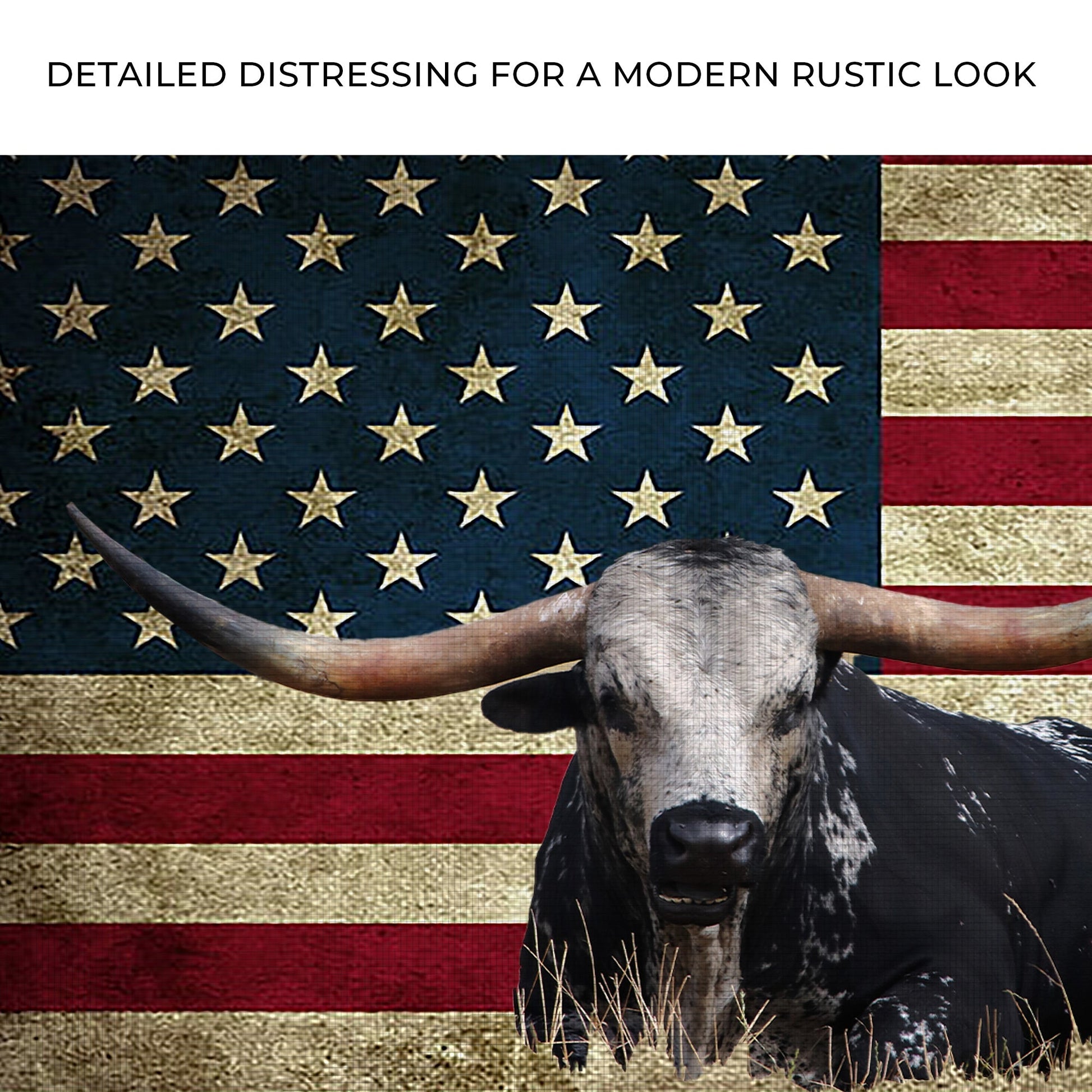 Longhorn Cattle American Flag Canvas Wall Art dark blue field with gold stars Tailored Canvases on Tampa Home & Garden Store