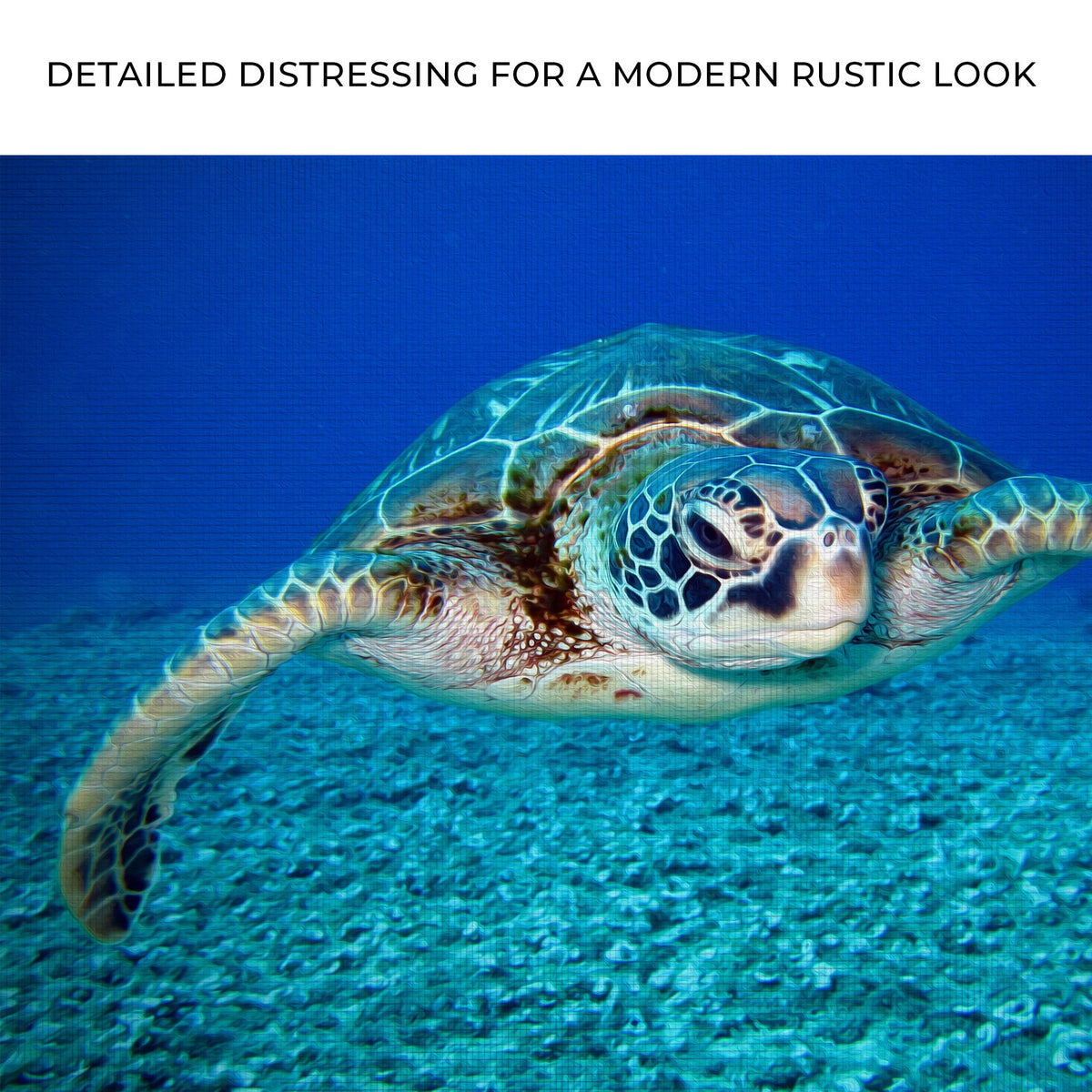 Green Sea Turtle Canvas Wall Art, blue ocean backdrop on Tampa Home & Garden Store