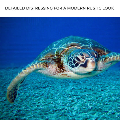 Green Sea Turtle Canvas Wall Art, blue ocean backdrop on Tampa Home & Garden Store