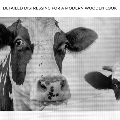 Monochrome Holstein two cows canvas wall art Tailored Canvases cow faces on Tampa Home & Garden Store