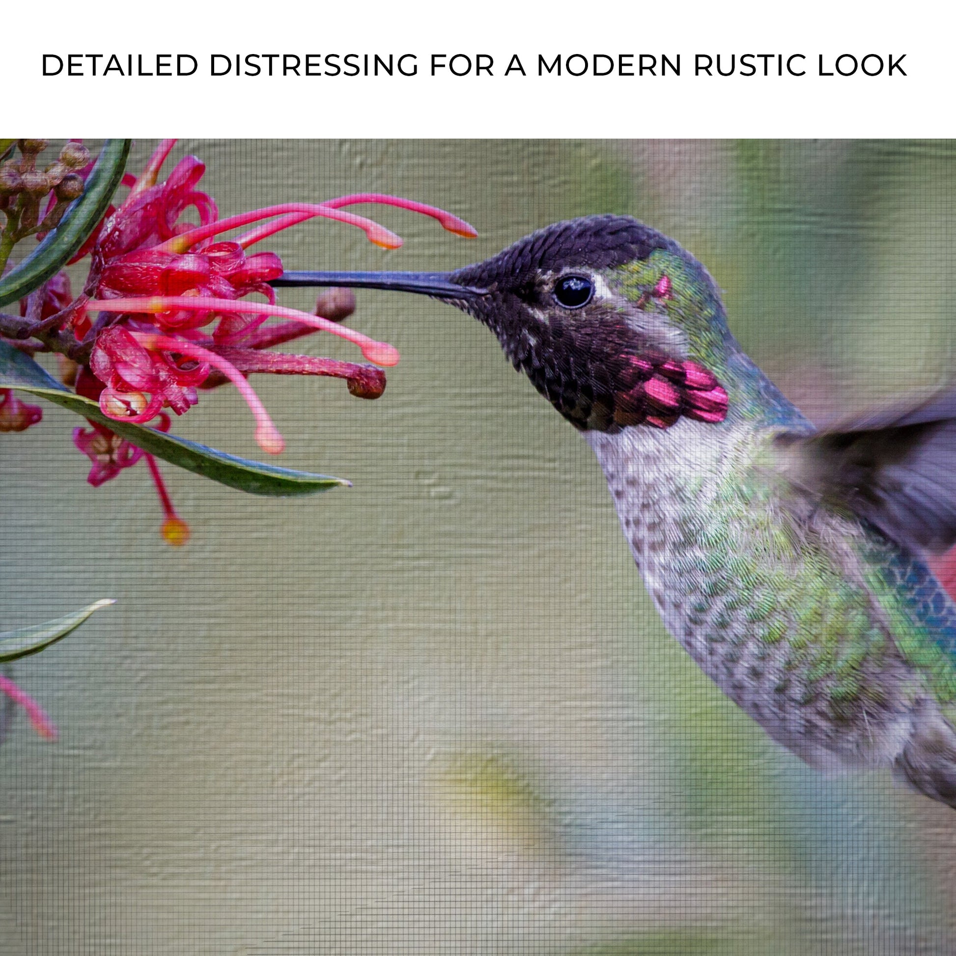 Hummingbird Spring Canvas Wall Art vivid green hummingbird feeding on pink tubular flowers on Tampa Home & Garden Store