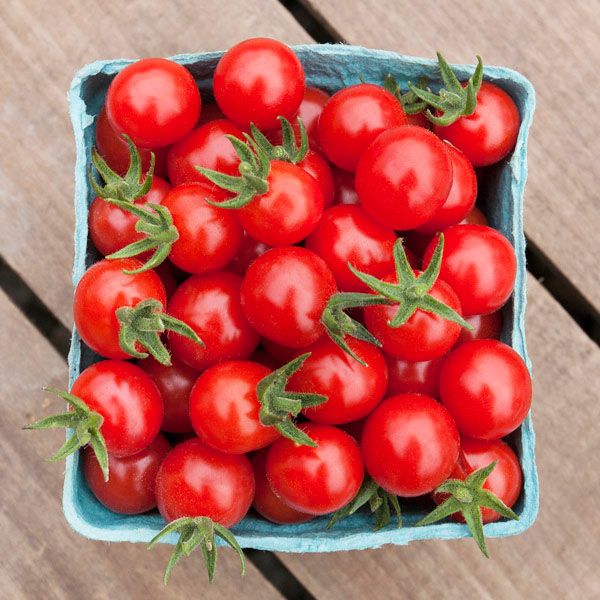 Matt's Wild Cherry Tomato seeds, red cherry tomatoes in a blue carton on Tampa Home & Garden Store