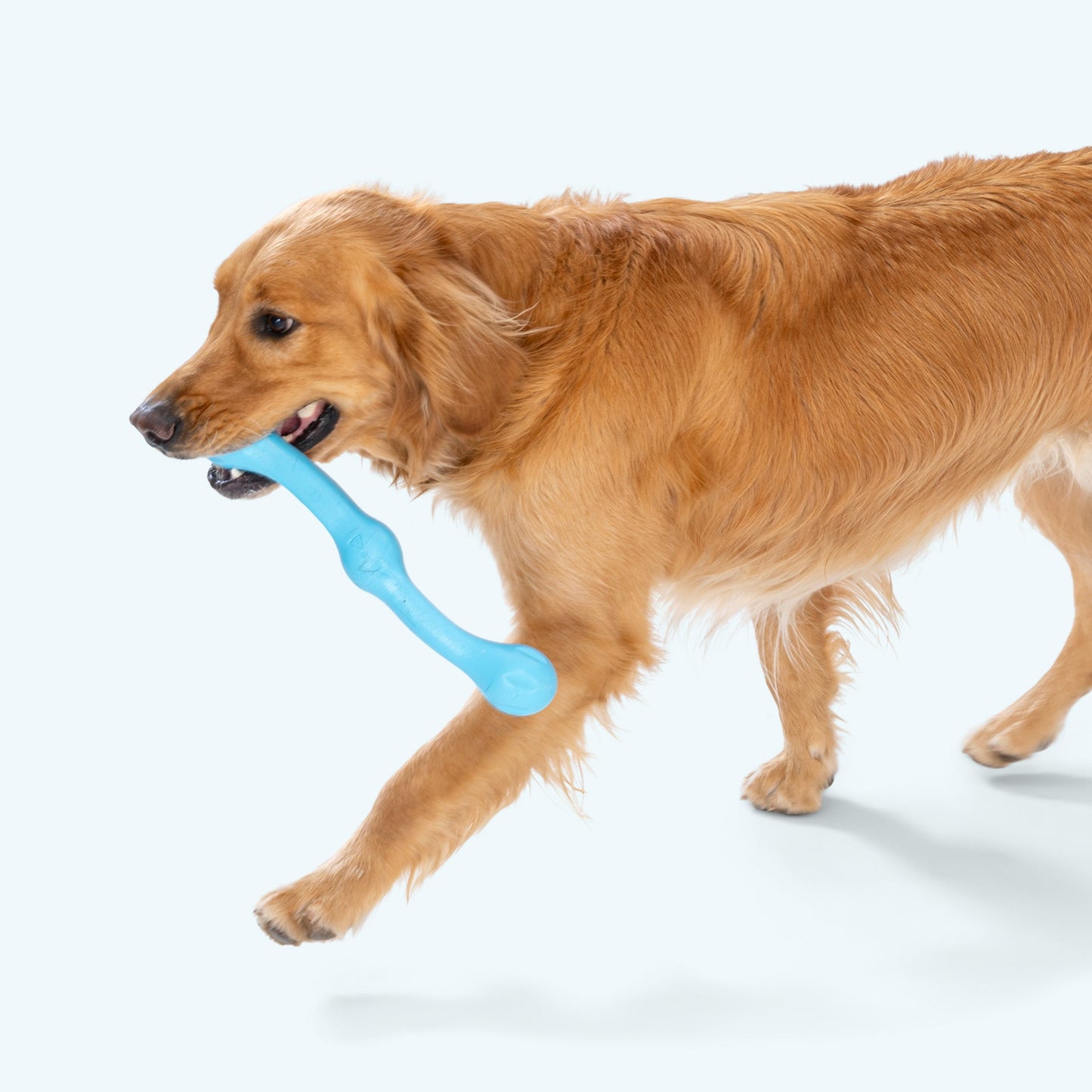 Zwig Zogoflex Echo Collection Dog Toy Chew