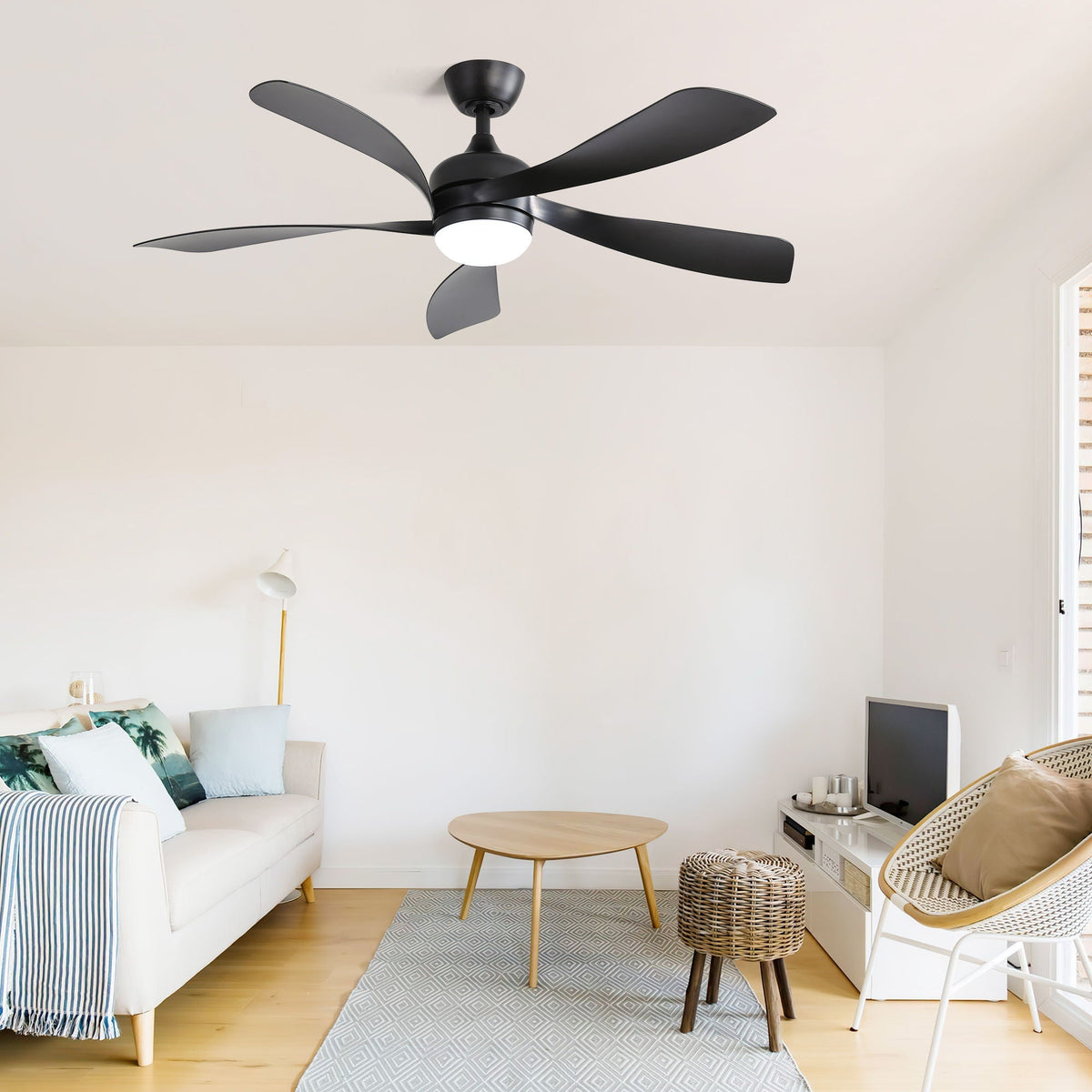 Ceiling fan with 5 black blades and round LED light, 3-color dimmable, HouseOfZazla on Tampa Home & Garden Store