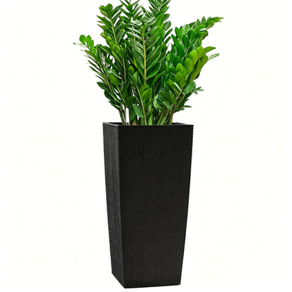 Indoor Outdoor Planter With Automatic Watering System in black woven planter with green leaves on Tampa Home & Garden Store