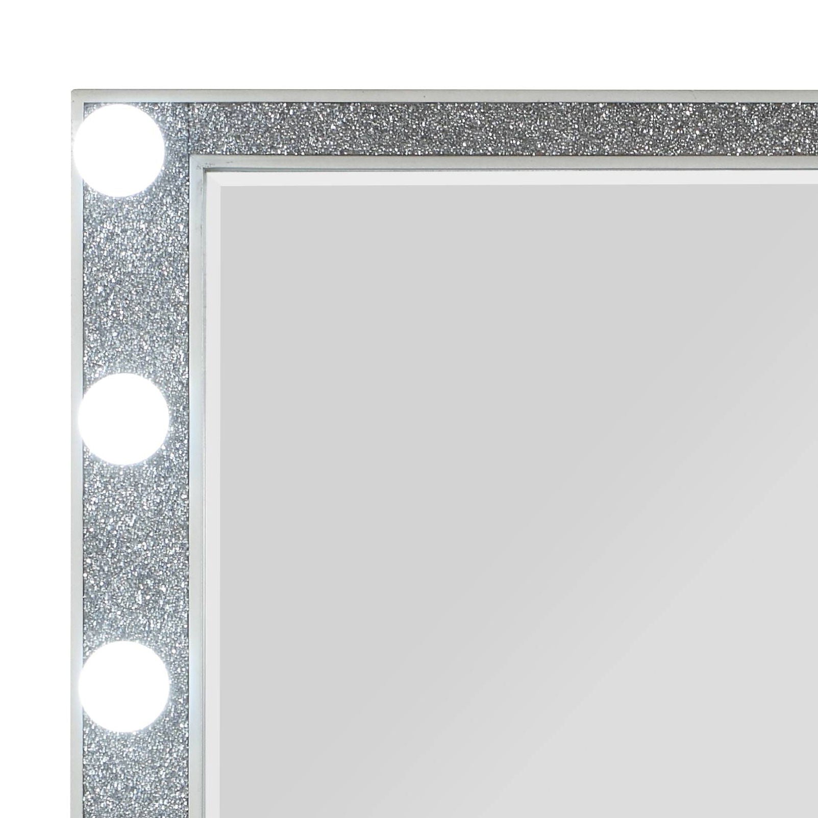 Mirror Sliverfluff with light in champagne glitter frame and round bulbs on Tampa Home & Garden Store