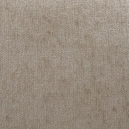 Beige textured carpet close-up with loop pile on Tampa Home & Garden Store