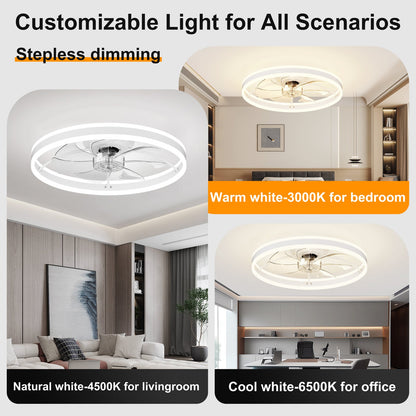 23.6-inch ceiling fan with light by HouseOfZazla, white circular LED rings, dimmable 3-color LED on Tampa Home & Garden Store