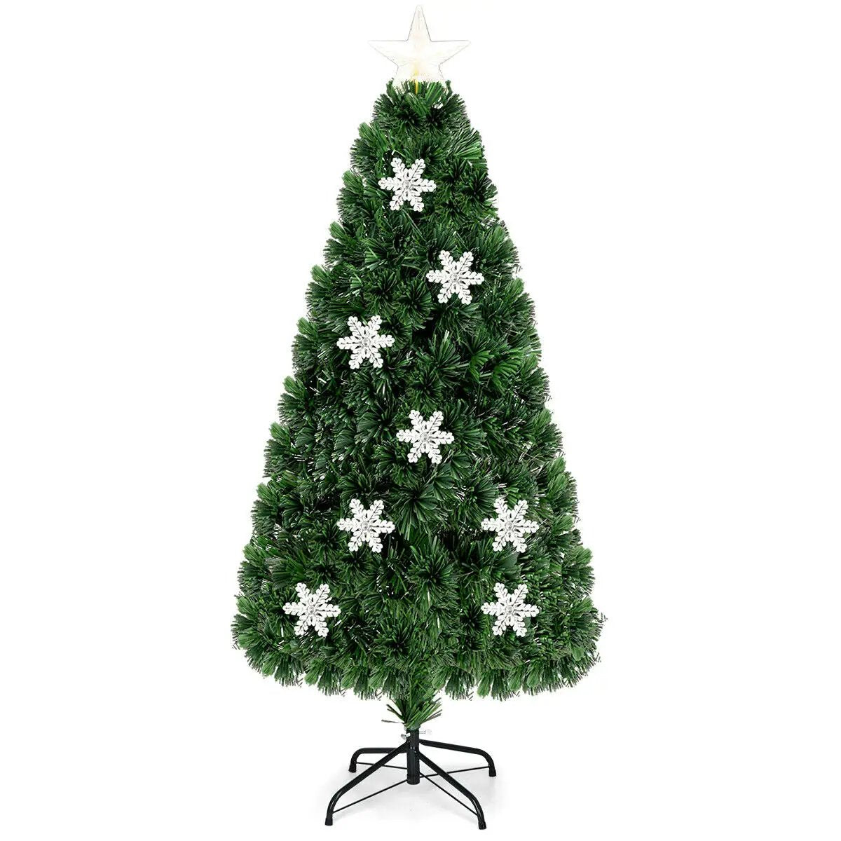 - image on Tampa Home & Garden Store