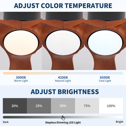 Ceiling fan light kit with wood finish, three frosted glass globes and color temperature slider on Tampa Home & Garden Store
