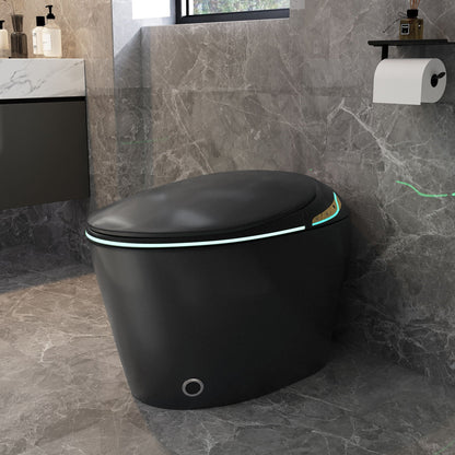 HouseOfZazla smart toilet with ceramic bidet in matte black, sleek rounded seat and cyan LED base light on Tampa Home & Garden Store