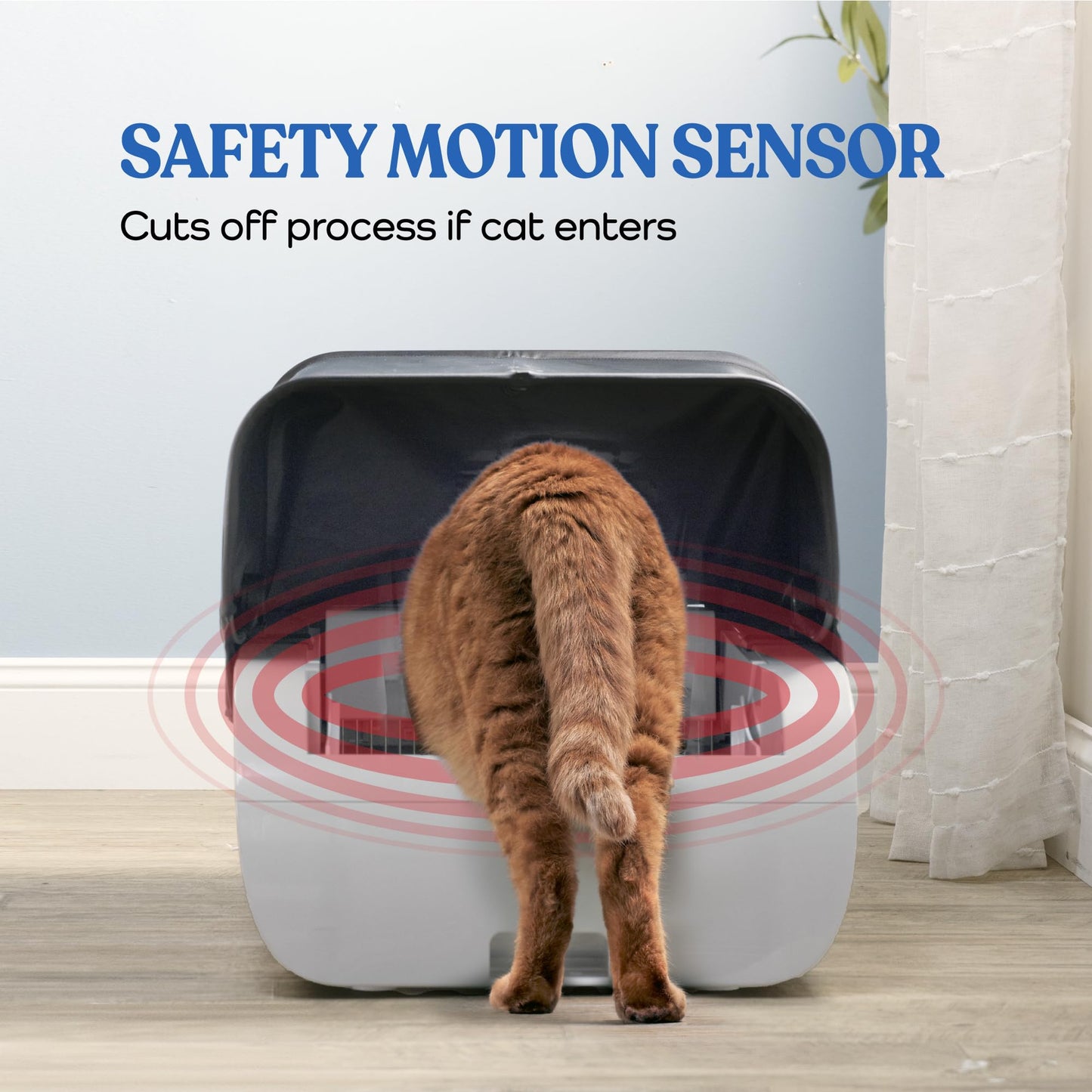 Smart Cat Litter Box With Wide Opening in gray plastic on Tampa Home & Garden Store